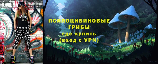 трава Арсеньев