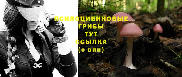 трава Арсеньев