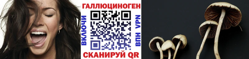 Галлюциногенные грибы ЛСД Протвино